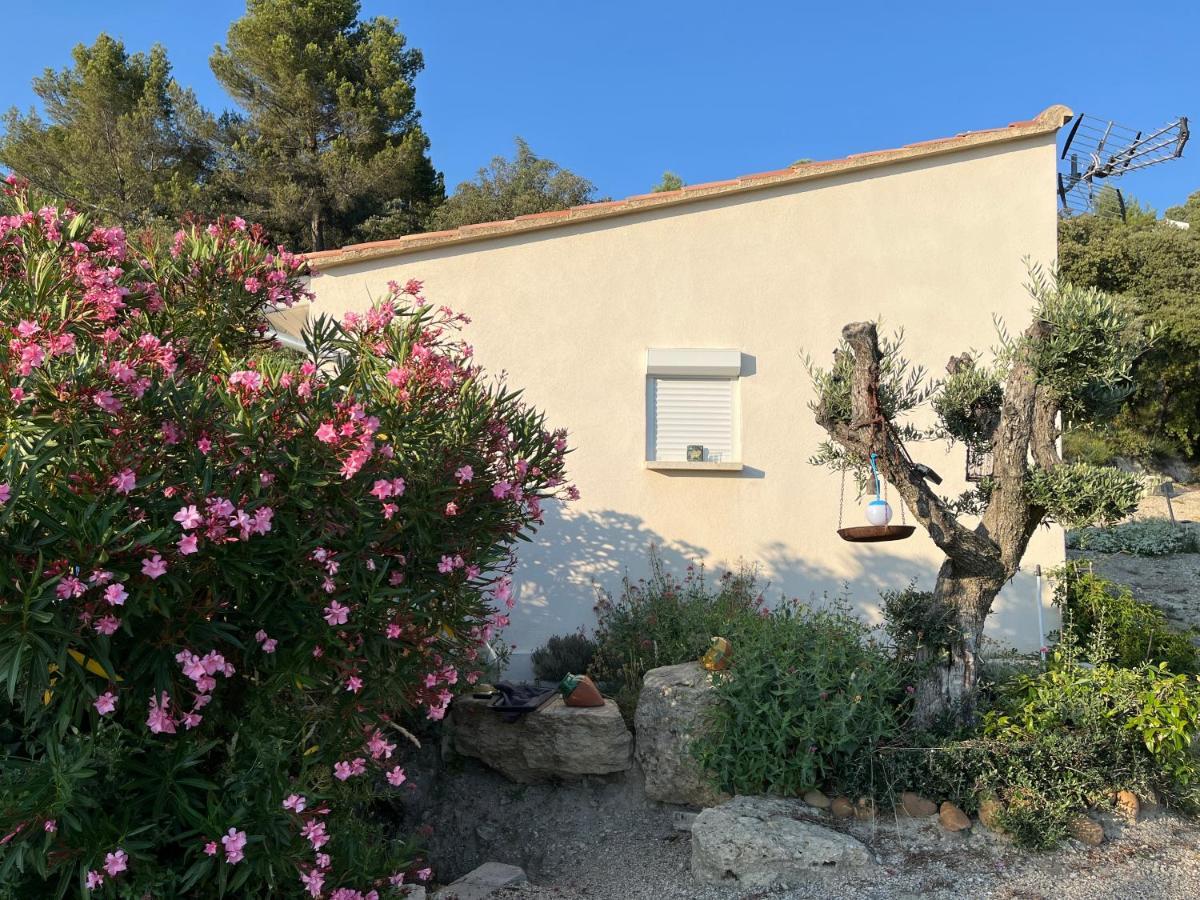 Bed and Breakfast La Thomalie Crillon-le-Brave Exteriér fotografie